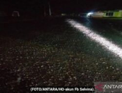 Fenomena hujan jelly hebohkan warga Gorontalo Utara