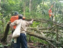 Operasi SAR Hari Kelima: Tim Gabungan Cari Dg. Malla, Warga Gowa yang Hilang di Hutan